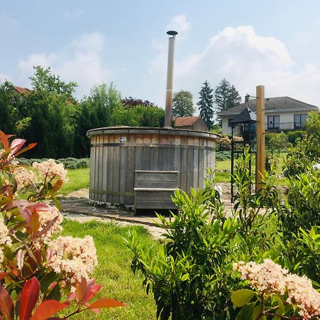 "Domaine De La Mance" - Gite-Maison De Vacances Vitrey-sur-Mance Exterior photo