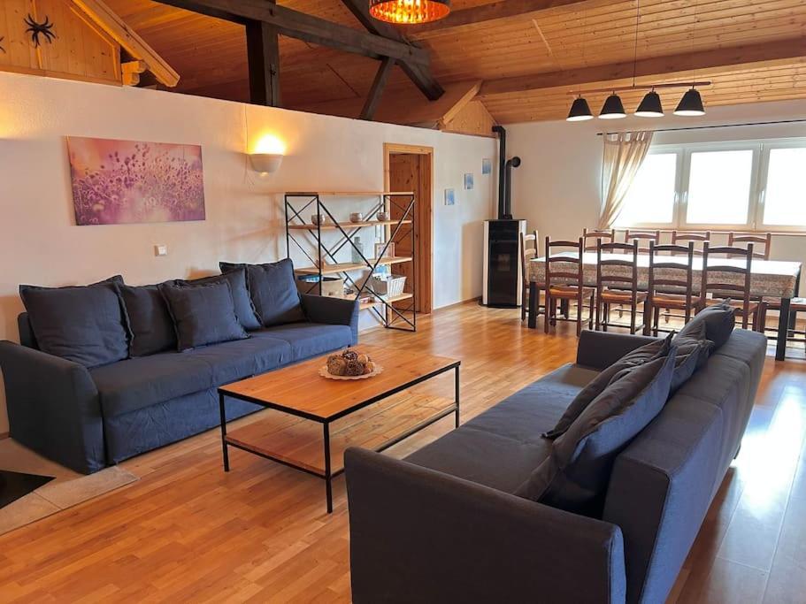 "Domaine De La Mance" - Gite-Maison De Vacances Vitrey-sur-Mance Exterior photo