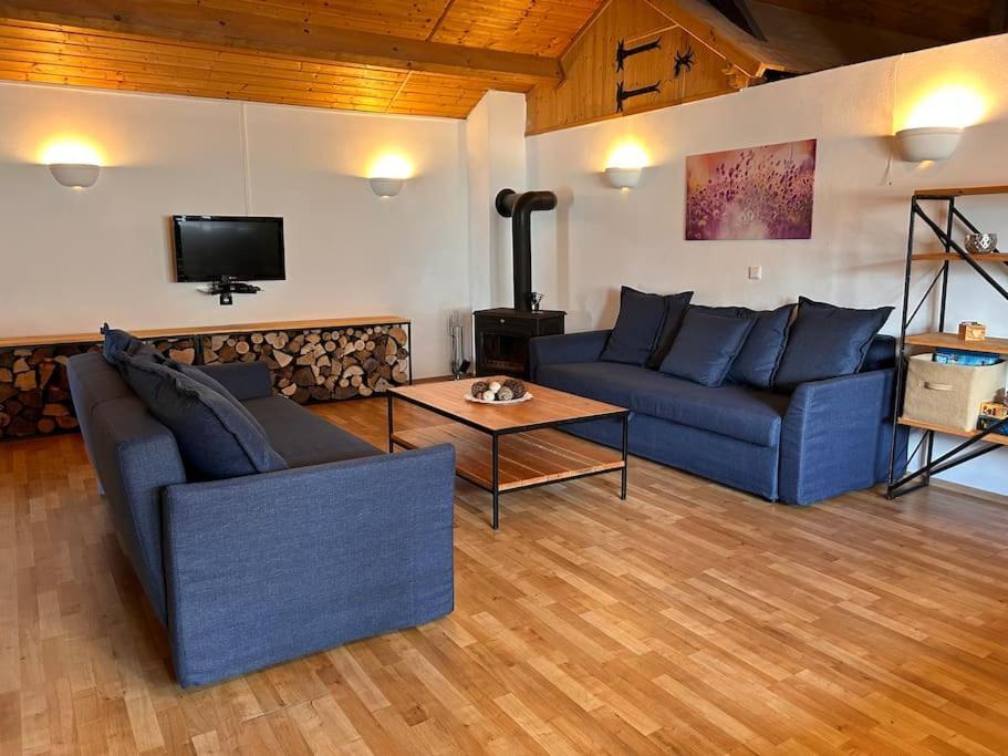 "Domaine De La Mance" - Gite-Maison De Vacances Vitrey-sur-Mance Exterior photo